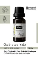 Okaliptus Yağı 10ml Saç Bakımı Ve Cilt Bakımı Etkili