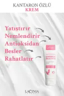 Kantaron Özlü Krem 100 ml