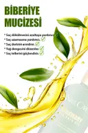 Biberiye Yağı Complexi Saç Dökülmesi Ve Yıpranmış Saçlar Için Hızlı Uzatma Etkili Saç Bakım Yağ 50ml